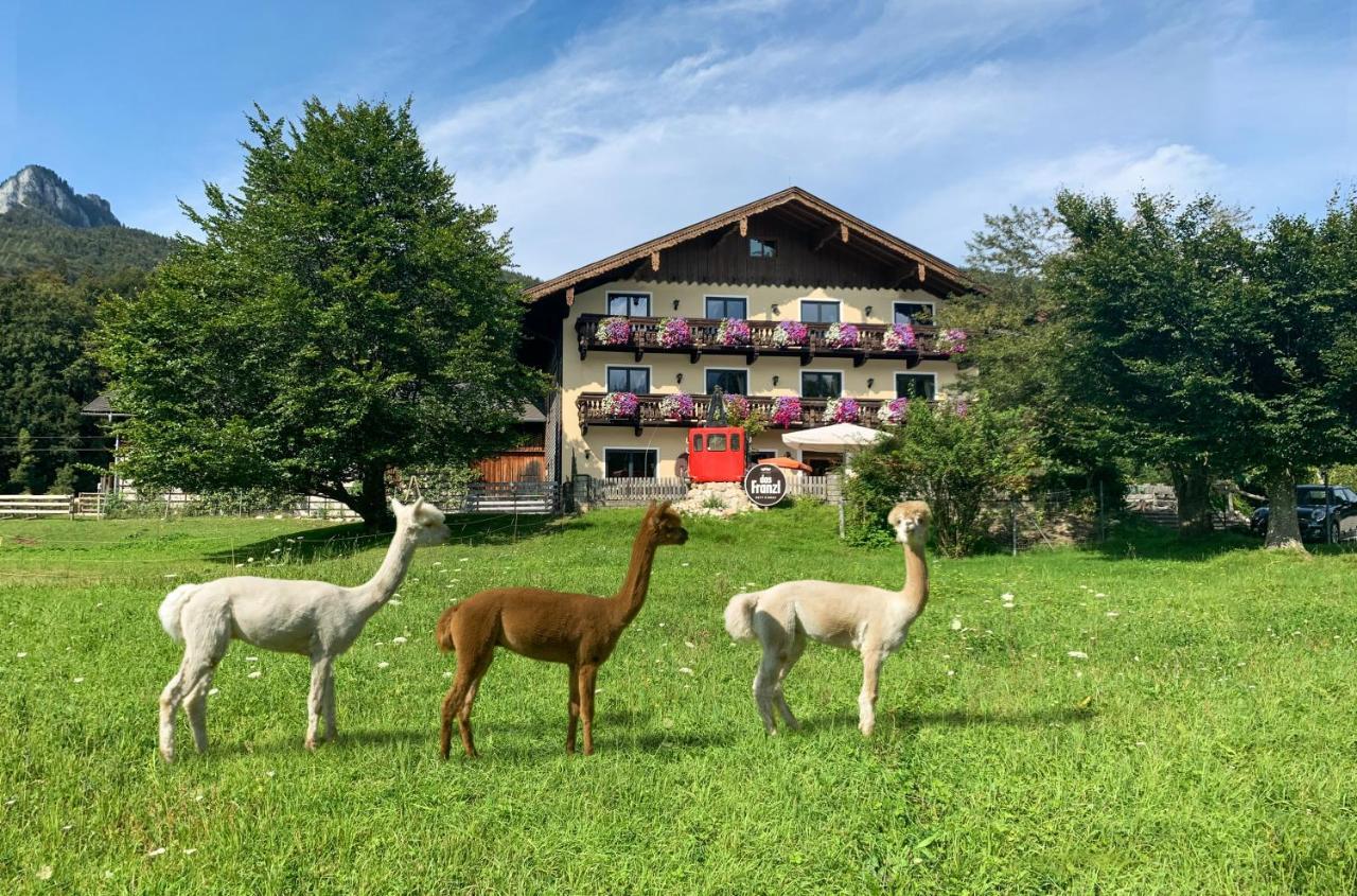 Das Franzl - Bett & Brot Saint Wolfgang Exterior foto
